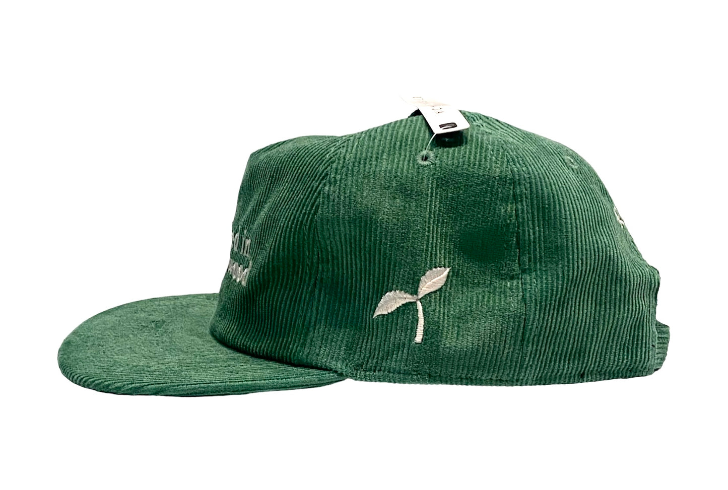 Cultivated in Inglewood Cord Cap - kelly/off white